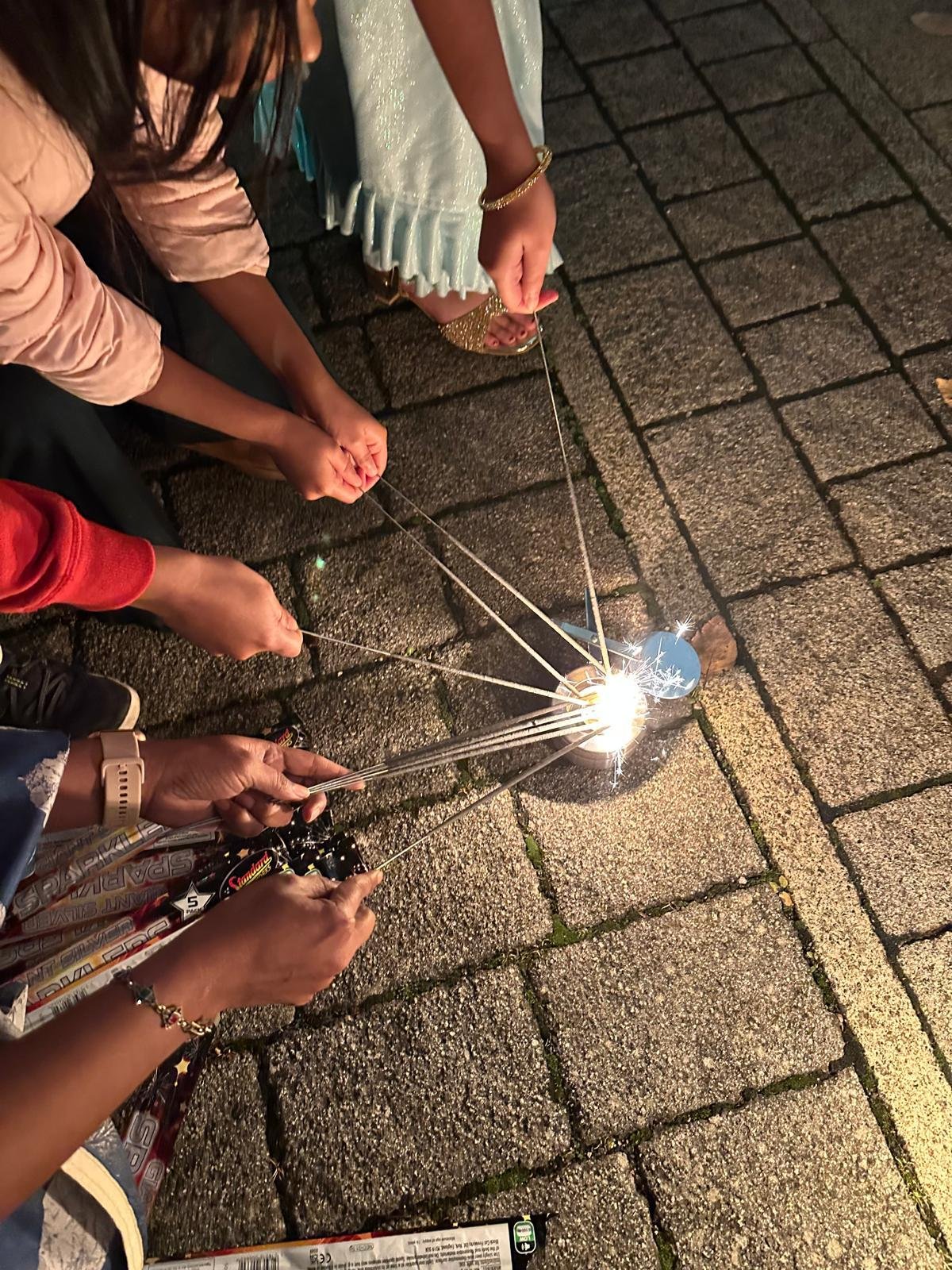 Diwali Celebration 2025